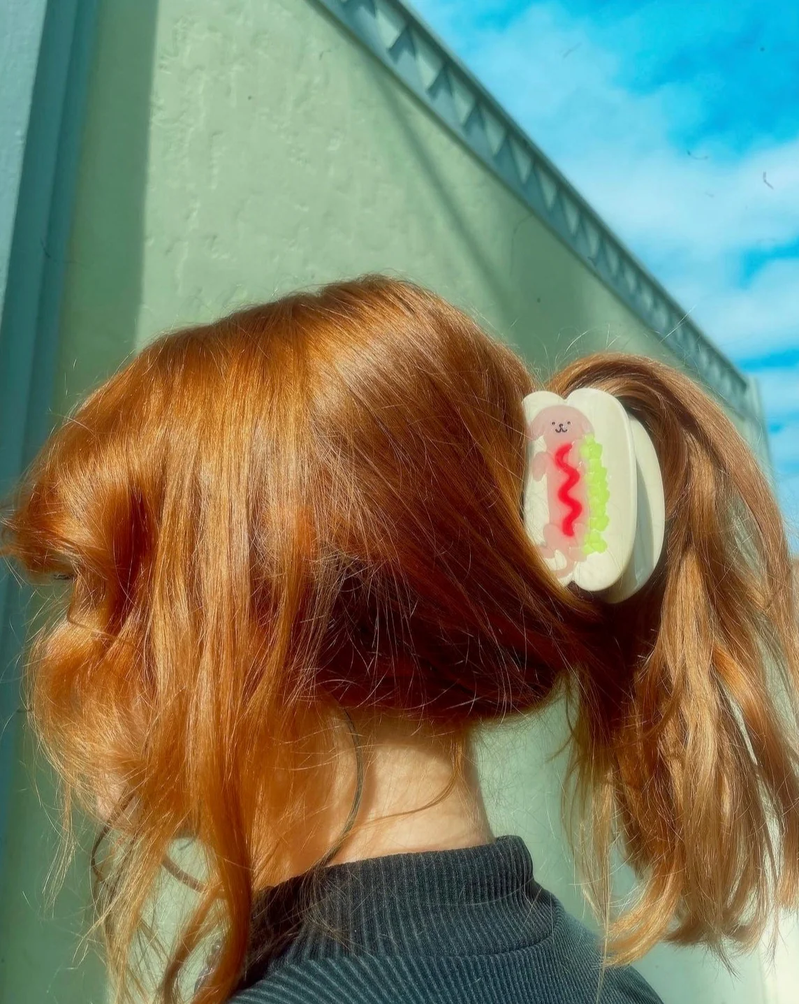 Hot Doggy Dog Hair Claw - Image 5